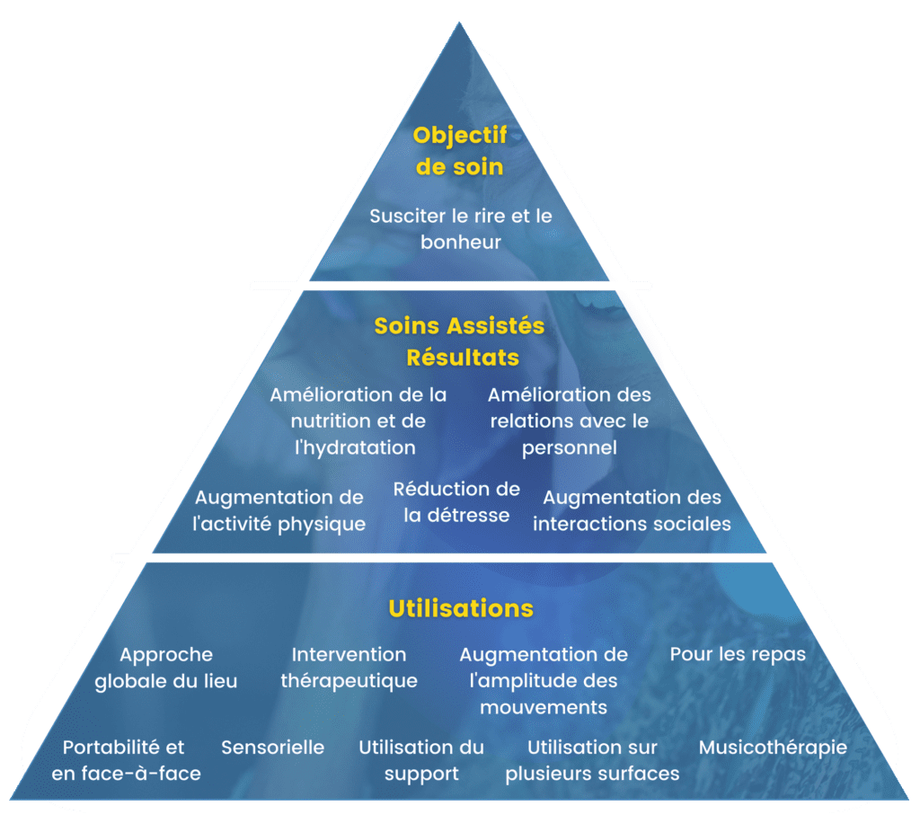 pyramide objectifs happiness programme de social-ability